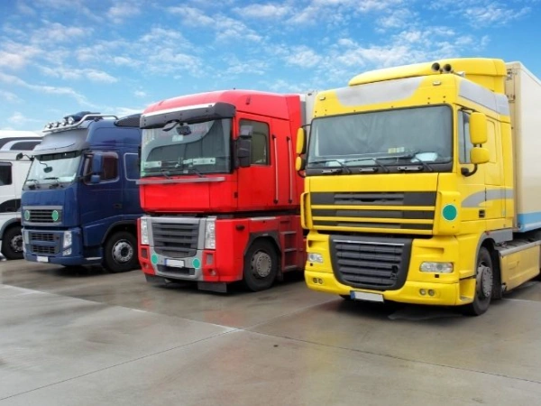 Antalya Bala Nakliye